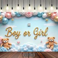 2D HD Blue Pink Gender Reveal Backdrop, Baby Shower Party Photo Background Cloth 47.2x31.5inch/120*80cm
