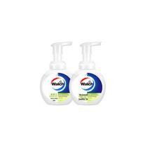 Walch Lime Moisturizing Antibacterial Foaming Hand Wash