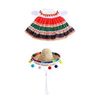 Decorative Seasonal Holiday Costume, Mexican Sombrero Lawn Goose Clothing Costume for Holiday Decorative raudona
