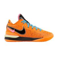 Nike Zoom LeBron NXXT Gen 'I Promise' 41