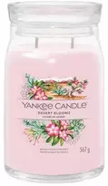 Yankee Candle Aromatinė žvakė Signatūrinis stiklas didelis Desert Blooms 567 g