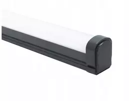 Philips Hermetiškas šviestuvas PILA WT007C 38W 4800lm 4000K 48S/840 PSU L1200mm 2 metų garantija