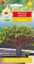 „Toraf sėklos“dracena laumžirgis