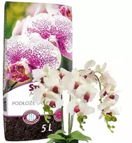 Sterlux Hollas dirvožemio orchidėjų substratas 5l