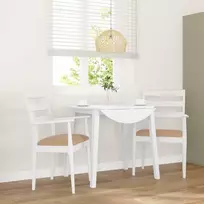 Valgomojo kėdės su pagalvėlėmis, 2 vnt., baltos, masyvi mediena, guma