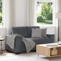 Dvivietė sofa, tamsiai pilka, 160x77x82 cm, aksomas