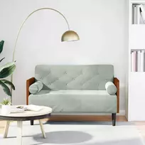 Dvivietė sofa su pagalvėlėmis, šviesiai pilka, 110 cm, aksomas