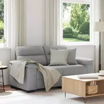 Dvivietė sofa, debesų pilka, 160x81x84 cm, audinys