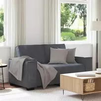 Dvivietė sofa, tamsiai pilka, 160x78x84 cm, aksomas