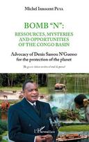 Bomb "N": ressources, mysteries and opportunities of the Congo Basin: Advocacy of Denis Sassou N'Guesso for the protection of the planet - The green vision reviewed and deepened