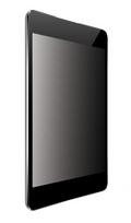 PRIVACY FILTER 4-WAY PLUG-IN FOR APPLE IPAD 10.9 (2022)PRIVAC