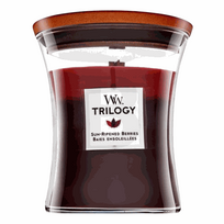 Woodwick Trilogy 275 g