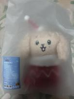 SEVENTEEN Mini Ten Holiday Flash Plush Door (Unopened)