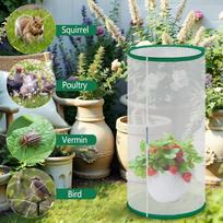 Butterfly Mesh Cage 11.8 x 15.7 Inch Caterpillar Enclosure with Zipper Foldable Multifunctional Plant Cover for Raising Hatching CN