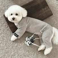 Soft Brushed Dog Base Layer Onesie Fall Winter Warm Four-Legged Bodysuit for Small Dogs Solid & Striped Thermal Pet Pajamas (black,XS（old）) juoda