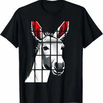 Today I Choose Joy Inspirational Graphic T-Shirt,100% Cotton S įvairiaspalvis