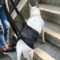 Naminio šuns pagalbinis diržas pavadėlis pagalbinis neįgalus senyvo amžiaus krūtinės diržas kelioninis diržas rankinis traukimo krūtinės diržas S（54*14.5） juoda