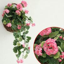 Vibrant 75cm Artificial Begonia Hydrangea Flower Fake Vine For Stunning Wall Decor tamsiai rausva spalva