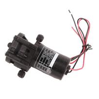ZC‑A250 DC24V Mini Self Priming CorrosiOn Resistant Plastic Gear Water Pump