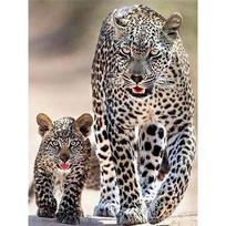 Full Round Diamond Painting Leopard Cross Stitch Mosaic Kits Animals 5D Diy Diamond Embroidery Painting Home Decoration Full Round 20x30CM