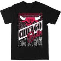 unisex's T-Shirt NBA Chicago Bulls Black Premium Gildan Blanks S įvairiaspalvis