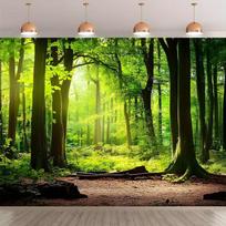 2D Lush Summer Woodland Backdrop with Sunlight Party Photo Background Banner 47.2x31.5inch/120*80cm