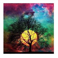 Wall Sticker 5D Diamond Painting Full Diamond Flora And Fauna Round Diamond Mosaic Pattern Diy Handmade Home Decoration Painting 30X30cm
