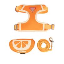 Cute fruit backpack pet chest strap set,anti slip soft breathable pet chest strap traction rope,dog cat pet backpack chest strap (Orange,XS（old）) oranžinė