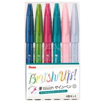 Pentel Brush Touch Sign Pen rinkinys B SES15C-6STB 6 spalvų