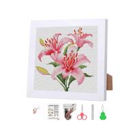 DIY Cross Stitch Kit with Floral Pattern Includes Fabric Needle Thread Scissors and Frame for Home Decoration and Craft Projects One Size
