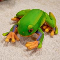 28cm Fun Frog Doll Simulated Frog Soft Plush Toys Cute Animal Plushies Doll Home Ornaments Kids Boys Girls Favors Gifts 28cm