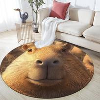 Capybara pattern round rug,Carpet Rug for Living Room Bedroom  Playroom ,Non-slip Floor Mat,Holiday Gifts and Birthday Gifts. 80cmx80cm