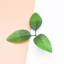 50pcs Fake Leaf Decorative Flowers Wall Wreaths Christmas Decor for Home Wedding Diy Gift Box Silk Rose Leaves Artificial Plants