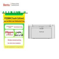 Pantum P2206W Compact Black & White Wireless Laser Printer CN plug (adapter included)