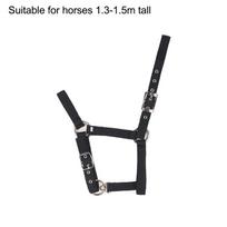 Reguliuojamas Nailoninis Diržas Jojimo Vakarų Arklių Kantaras Arklių Jojimo Apranga Juoda Xs S M L Xl Ergonomiškas Patogus Kantaras M