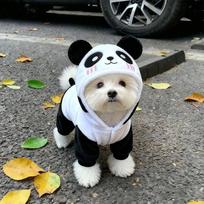 Dog Winter Coat Panda Costume Warm Four Legs Outfit Teddy Bichon Cat Clothes Anti Shedding Thicken  Dog Costume (as the picture,S -1-2kg)