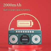 Newsmy N131 Portable Bluetooth Radio with TF Card Player (CN version) žalia spalva