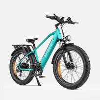 ENGWE E26 26  city electric-assist bicycle,48V 16ah,250W,maximum load capacity of 130 kg,maximum range of up to 90 km in assist mode. žalia