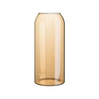 ZISIZ Amber Glass Hydroponic Vase Set gintaras