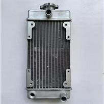 Motorcycle Engine Parts Water Cooler Radiator For Regal Raptor DD250E-9A DD250E-9B DD250G-2N DD350E-6C 250cc Engine