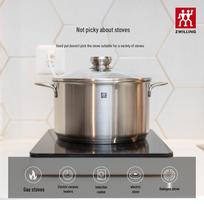 ZWILLING Nova III Stainless Steel Soup Pot, 20cm
