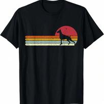 Plano TX _ Texas _ Vintage City Apparels T-Shirt S įvairiaspalvis