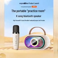 WOPOW Portable Wireless Bluetooth Karaoke Speaker (CN version)