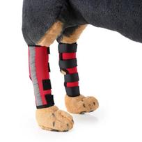 Dog Post-Surgery Leg Braces Knee Protection Recovery Coat Injury Leg Support Dog Jacket for Surgery Recovery (as the picture,L)