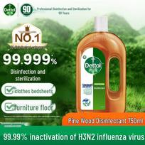 Dettol Multi-Purpose Disinfectant Liquid be kvapo 2 x 750ml buteliai spalva