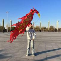 1.5/2/3M Dragon Dance Ribbon Pole Chinese Mascot Costume For Children Fitness Practise Party New Year Festival Activity Supplies 1.5M