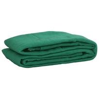 vidaXL Priekabos Tinklas, Žalias, 2x3 m, HDPE