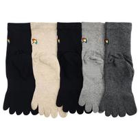Arnold Palmer Women's Toe Socks Plain Antibacterial Functional Ladies' Socks 5 Pairs Made in Korea BAL03 Brigade 5-legged