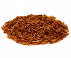 Džiovintas miltinių sliekų lesalas paukščiams, graužikams, ropliams TURDUS 125g PL916