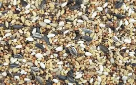 LAUKINIŲ PAUKŠČIŲ LESALAS Smulkios sėklos 10 kg